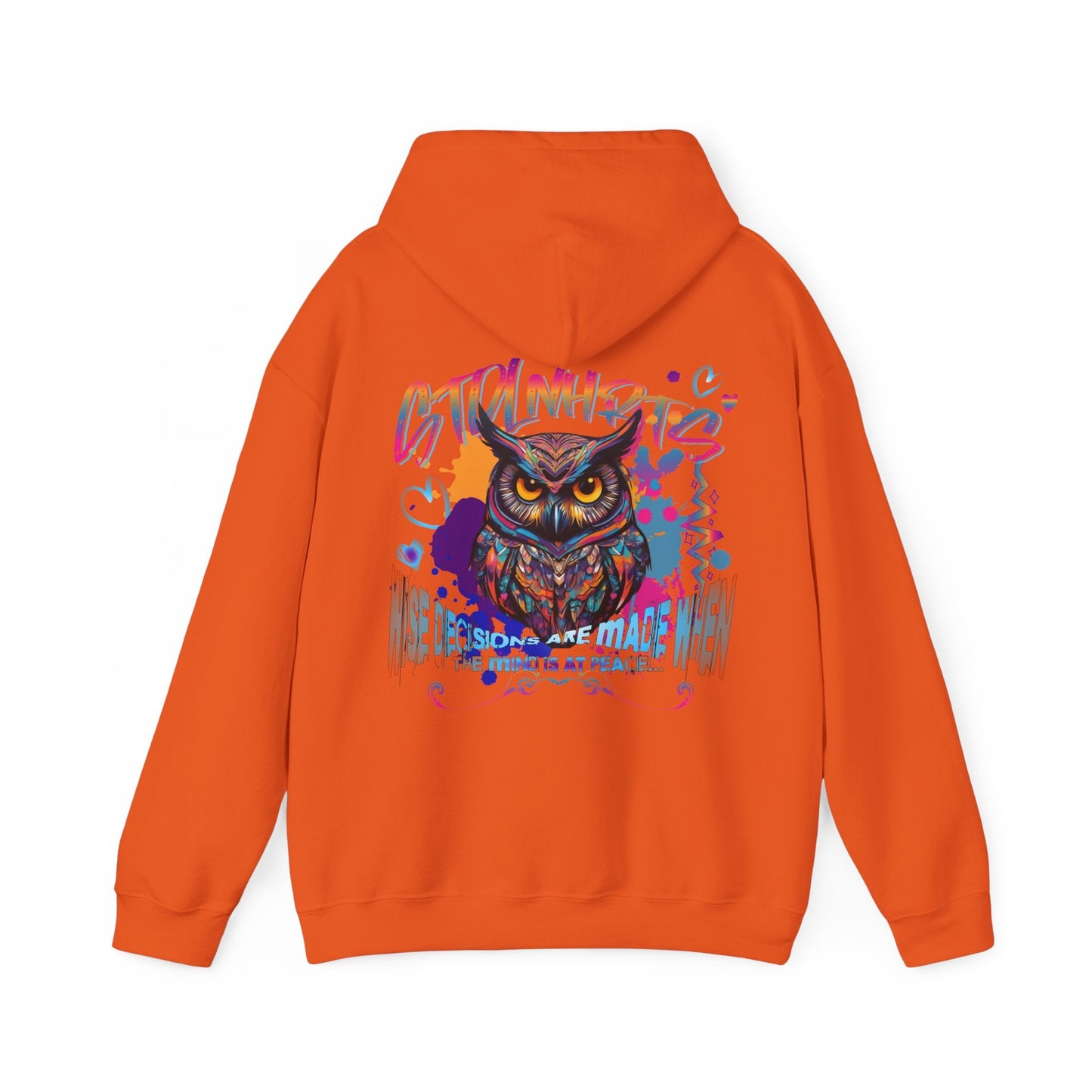 STOLNHRTS Wise Decisions Owl Hoodie - STOLNHRTS Apparel Co.Hoodie